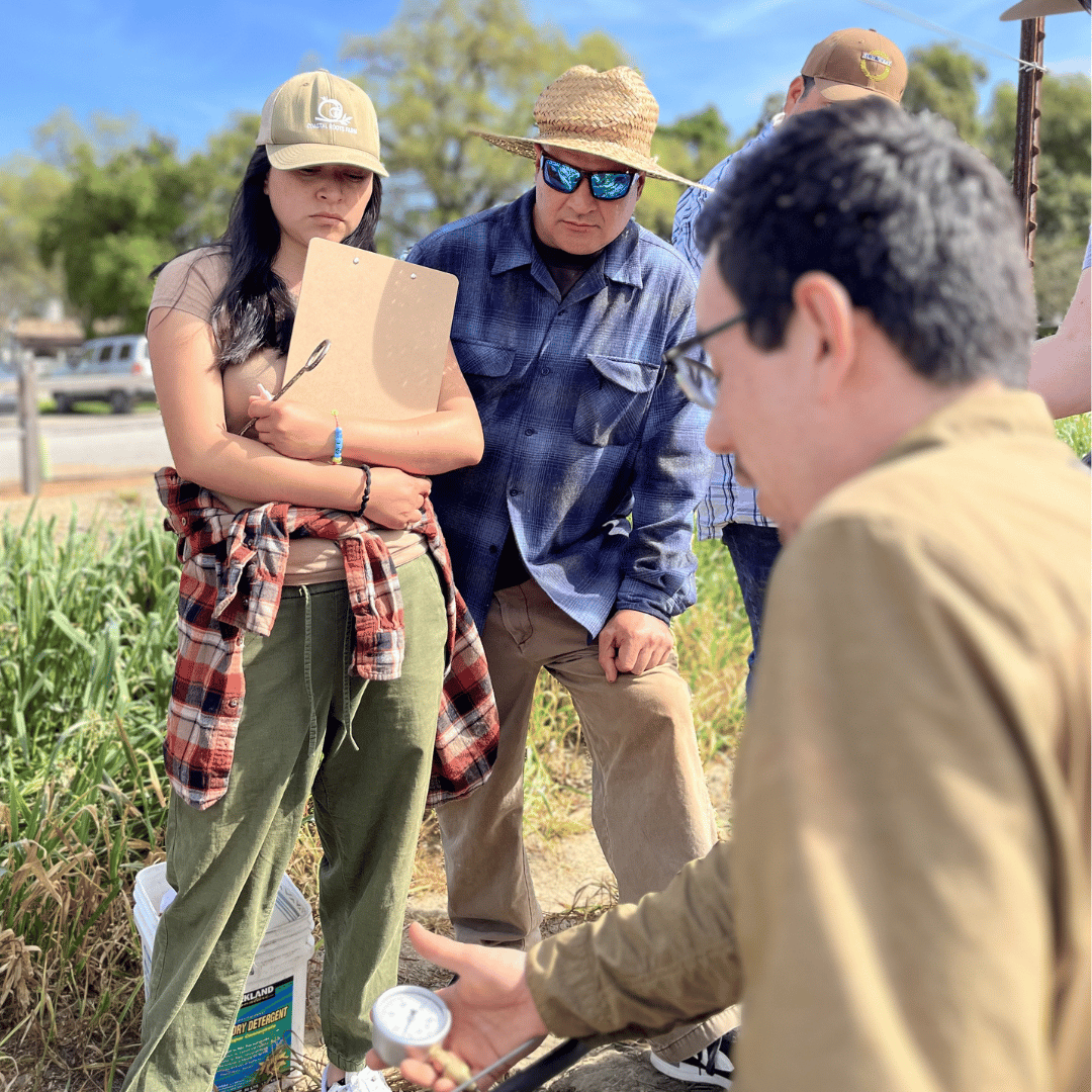 group of people learning about irrigation
