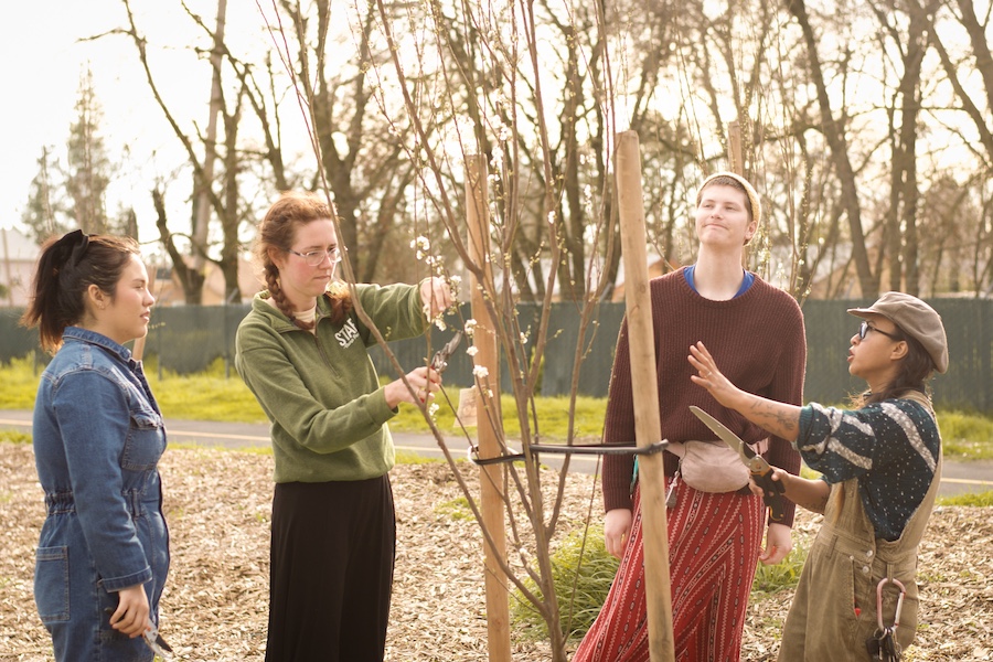 Orchard Pruning Workshop